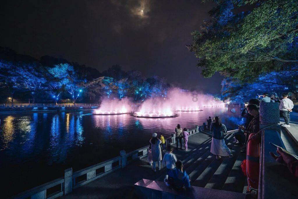 生化危机：浣熊市行动