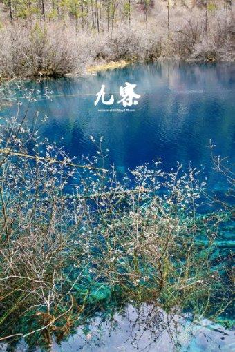 嘉日单词