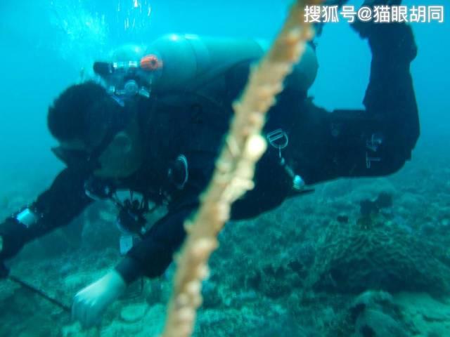 三国群英6